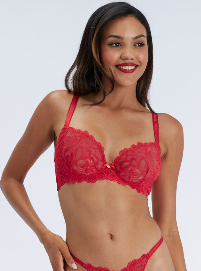 Heidi sheer lace plunge bra