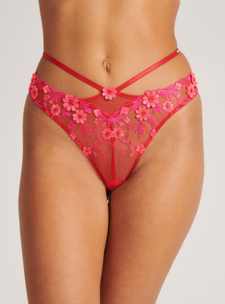Eladie embroidered briefs