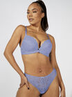 Mollie plunge bra