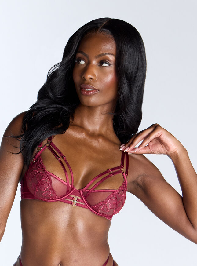 Lucia sheer embroidered balconette bra