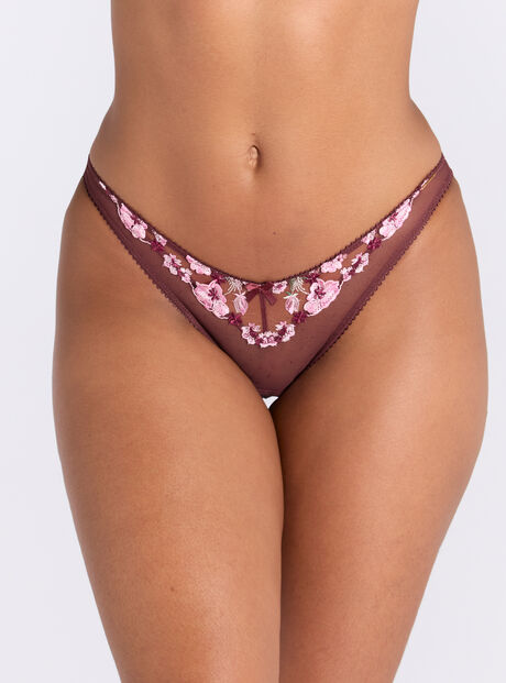 Evelyn embroidered briefs