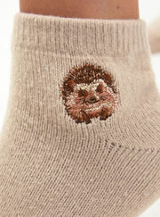 2 pack hedgehog knitted trainer socks