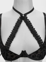 Calista velvet floral plunge bra