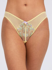 Lisette embroidered briefs