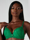 Aliyah plunge push up bra
