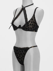Calista velvet floral plunge bra