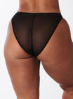 Piper briefs