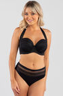 Morella mesh trim high waist bikini briefs