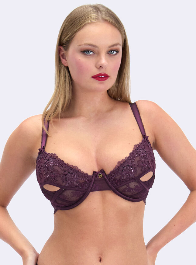 Regina embroidered plunge bra