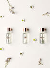 Boux Wellness bath oil gift set