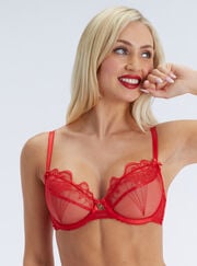 Claudette embroidered plunge bra