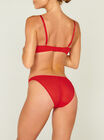 Piper briefs