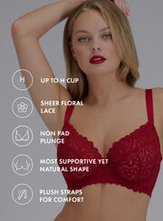 Carmel lace plunge bra