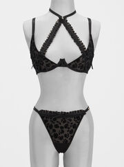 Calista velvet floral plunge bra