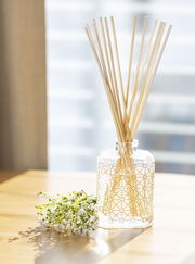 Sweet clementine diffuser