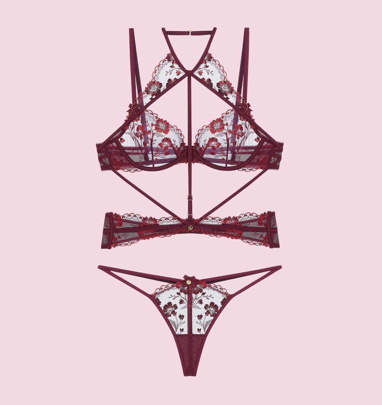 Sexy Lingerie- Shop Now