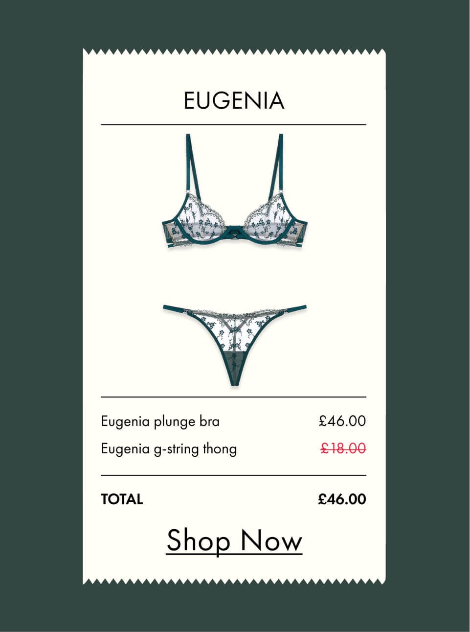 Eugenia embroidered plunge lingerie set