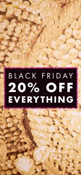 20% off Everything- Shop now 20%